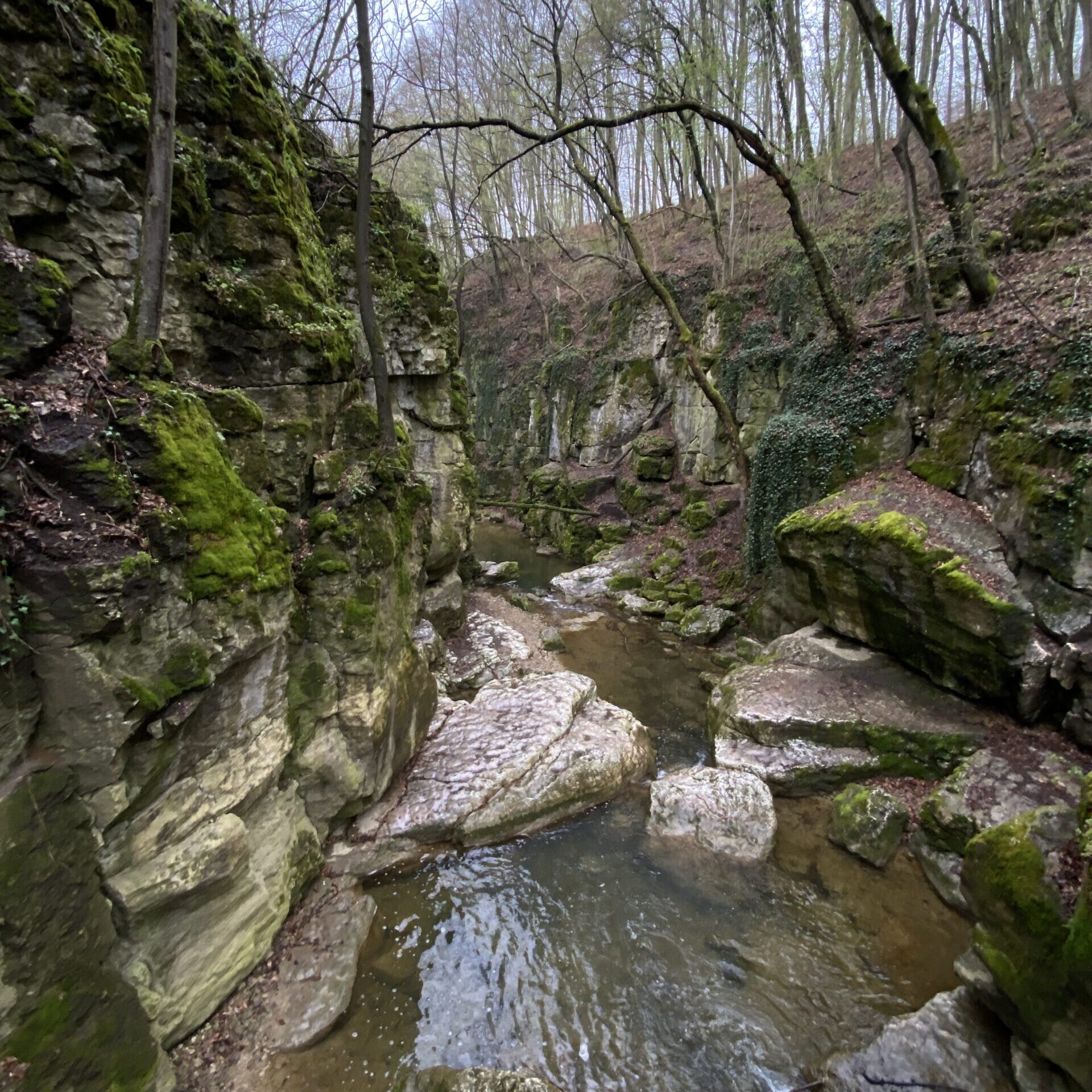 Római fürdő túra